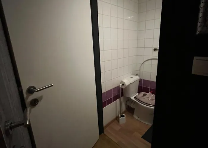 アパート Le Du Palayau バストーニュ