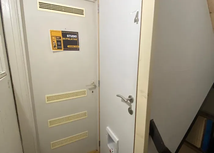 Le Du Palayau バストーニュ